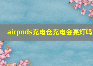 airpods充电仓充电会亮灯吗