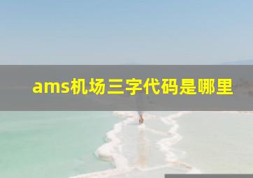 ams机场三字代码是哪里