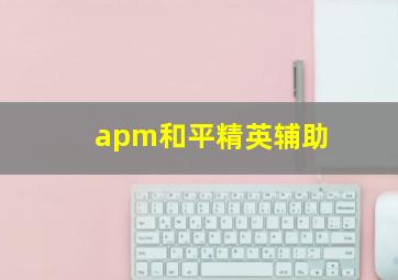 apm和平精英辅助