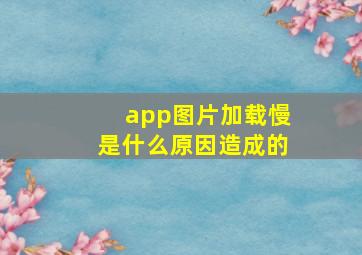 app图片加载慢是什么原因造成的