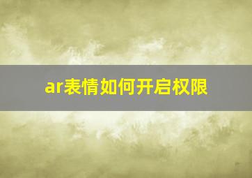 ar表情如何开启权限