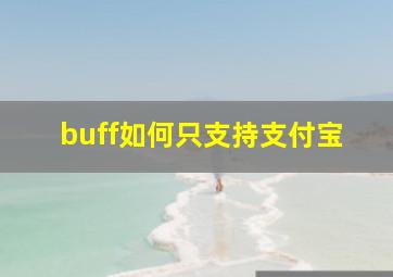 buff如何只支持支付宝