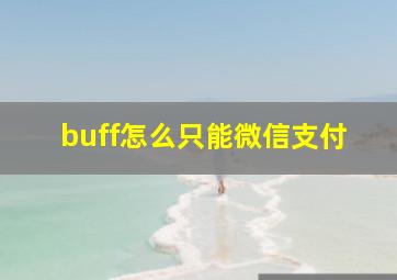 buff怎么只能微信支付