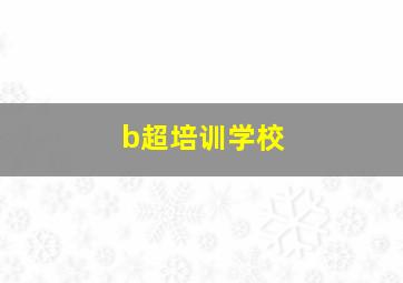 b超培训学校