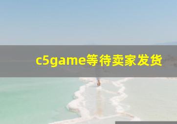 c5game等待卖家发货