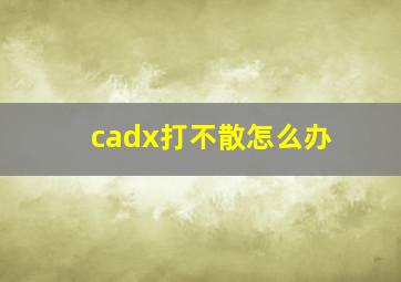 cadx打不散怎么办