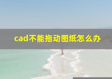 cad不能拖动图纸怎么办