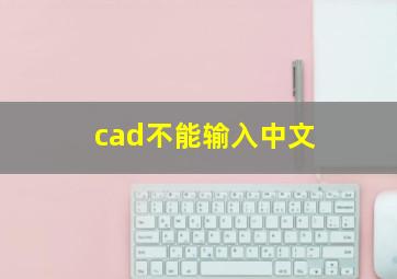 cad不能输入中文