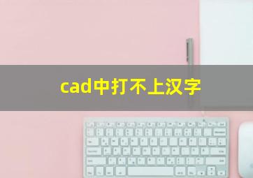 cad中打不上汉字