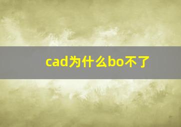 cad为什么bo不了