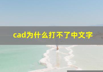 cad为什么打不了中文字