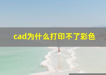 cad为什么打印不了彩色