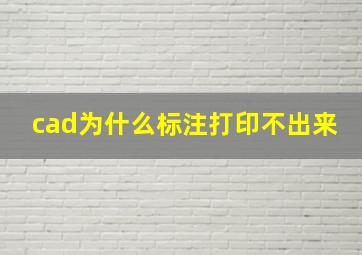 cad为什么标注打印不出来