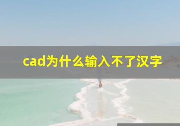 cad为什么输入不了汉字