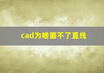 cad为啥画不了直线