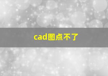 cad图点不了