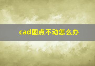 cad图点不动怎么办