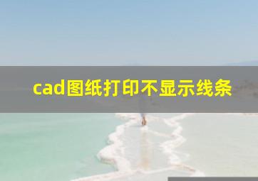 cad图纸打印不显示线条