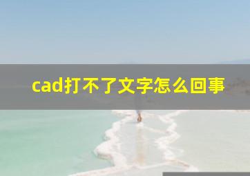 cad打不了文字怎么回事