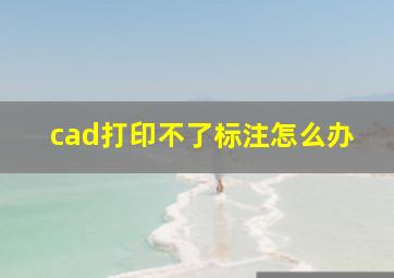 cad打印不了标注怎么办