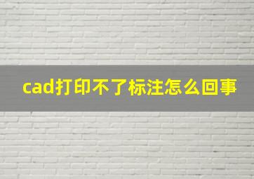 cad打印不了标注怎么回事