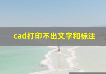 cad打印不出文字和标注