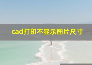 cad打印不显示图片尺寸