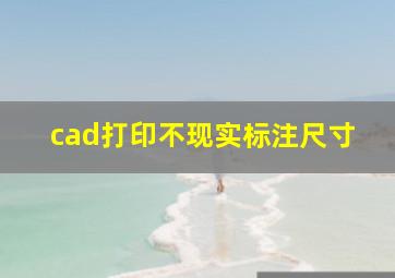 cad打印不现实标注尺寸