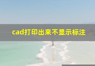 cad打印出来不显示标注