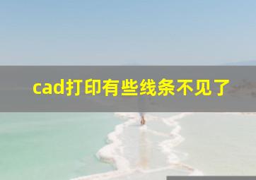 cad打印有些线条不见了