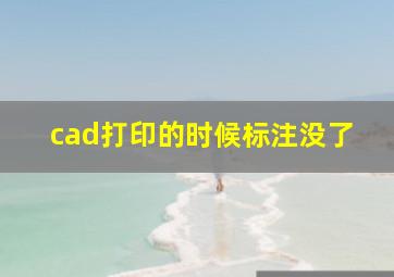 cad打印的时候标注没了