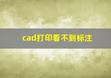 cad打印看不到标注