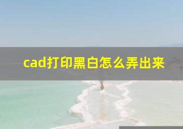 cad打印黑白怎么弄出来