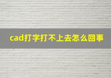 cad打字打不上去怎么回事