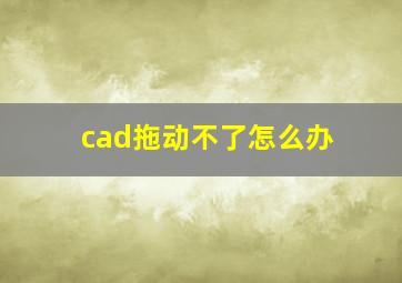 cad拖动不了怎么办