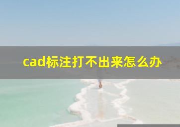 cad标注打不出来怎么办