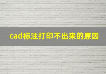 cad标注打印不出来的原因