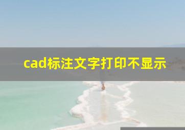 cad标注文字打印不显示