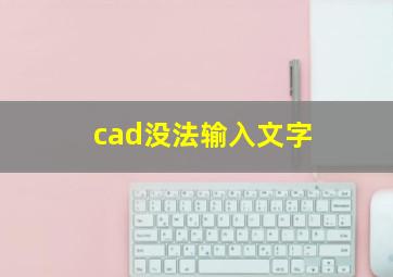 cad没法输入文字