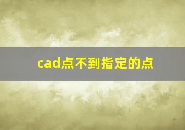 cad点不到指定的点