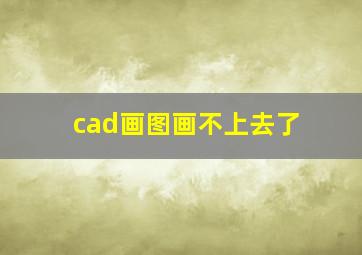 cad画图画不上去了