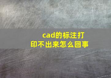 cad的标注打印不出来怎么回事