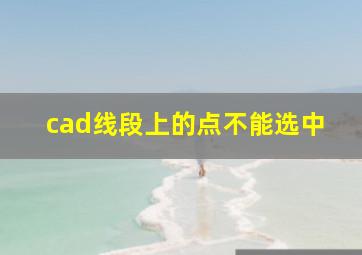 cad线段上的点不能选中