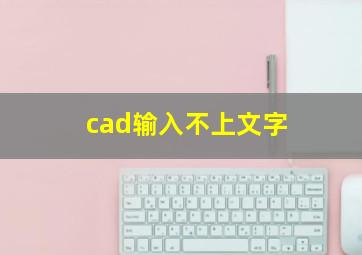 cad输入不上文字