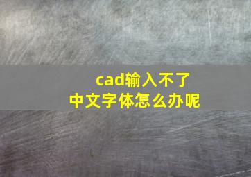 cad输入不了中文字体怎么办呢