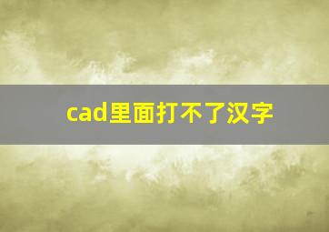 cad里面打不了汉字