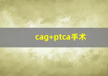 cag+ptca手术