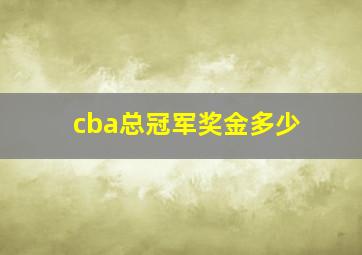 cba总冠军奖金多少