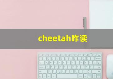 cheetah咋读