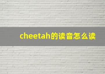 cheetah的读音怎么读